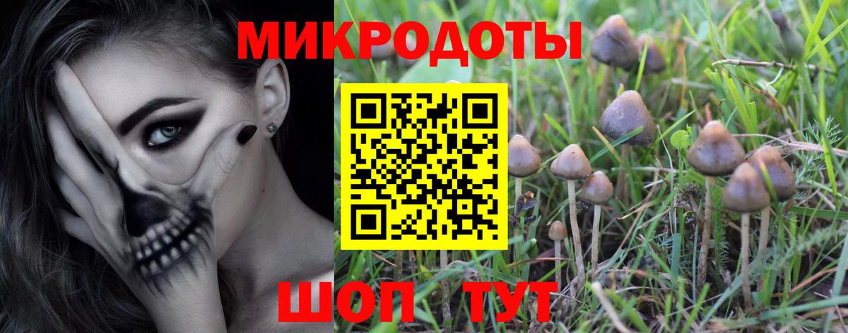 купить закладку  Галлюциногенные грибы Magic Shrooms  Псилоцибиновые грибы Psilocybine cubensis  Вход с VPN  Менделеевск 